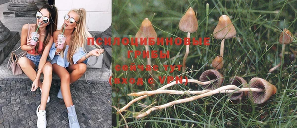 гашик Верхнеуральск